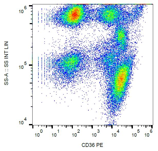 Anti-CD36 / GPIIIb Monoclonal Antibody (Clone:TR9)-PE Conjugated