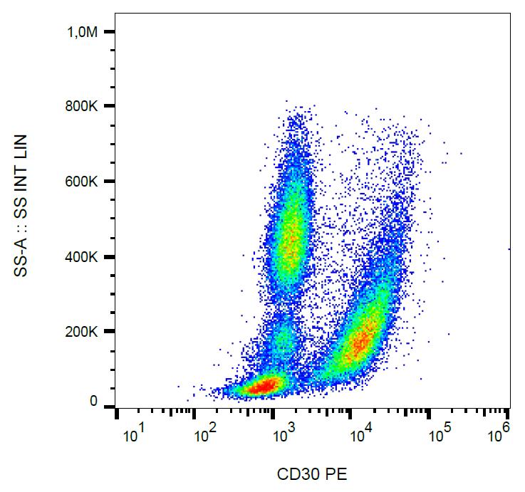 Anti-CD30 / Ki-1 Monoclonal Antibody (Clone:MEM-268)-PE Conjugated