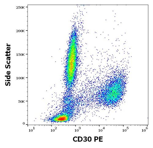 Anti-CD30 / Ki-1 Monoclonal Antibody (Clone:MEM-268)-PE Conjugated