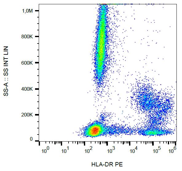 Anti-HLA-DR Monoclonal Antibody (Clone:MEM-12)-PE Conjugated