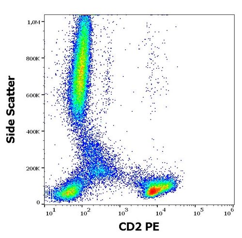 Anti-CD2 / LFA-2 Monoclonal Antibody (Clone:LT2)-PE Conjugated