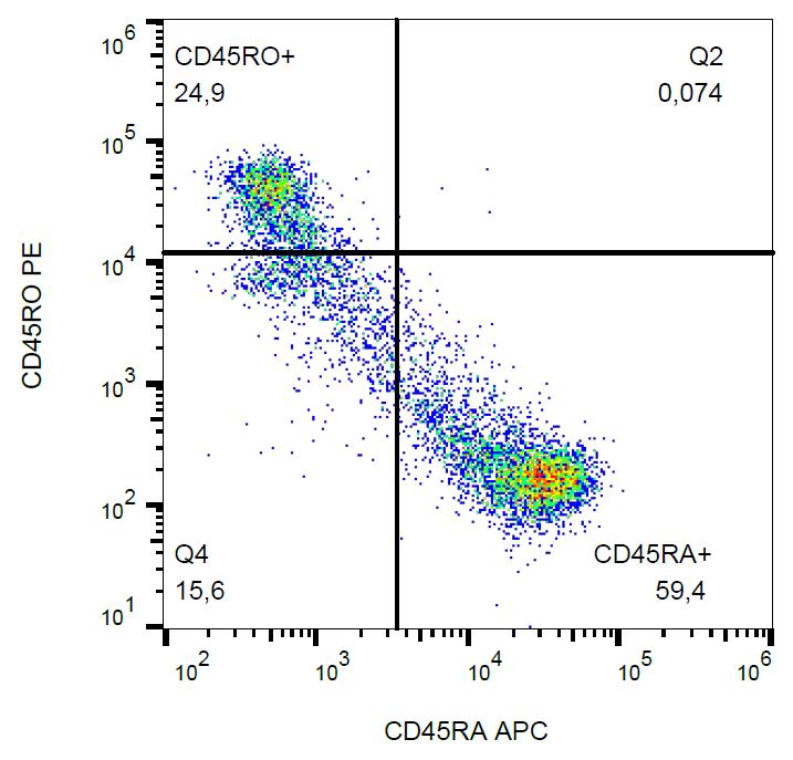 Anti-CD45R0 Monoclonal Antibody (Clone:UCHL1)-PE Conjugated