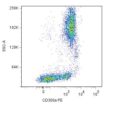 Anti-CD300a Monoclonal Antibody (Clone:MEM-260)-PE Conjugated