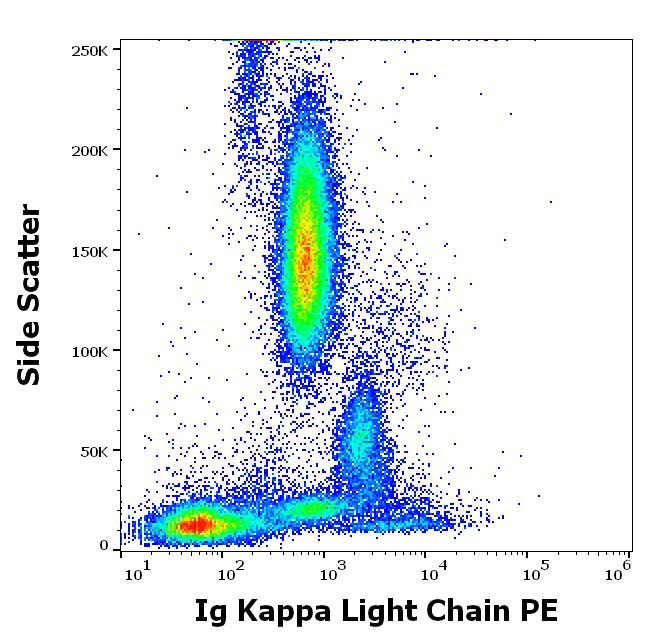 PE Conjugated Anti-Kappa light chains Monoclonal Antibody (Clone:A8B5)