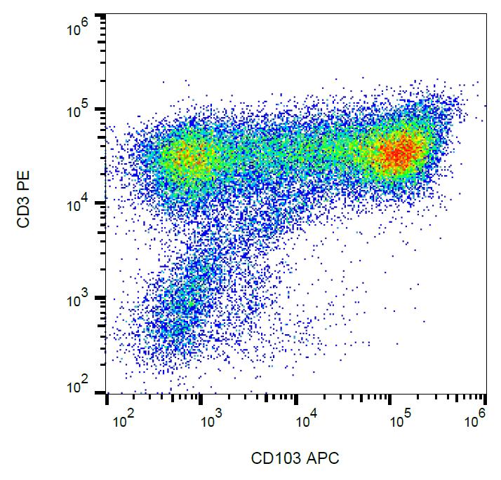 Anti-HLA-B7 Monoclonal Antibody (Clone:BB7.1)-PE Conjugated