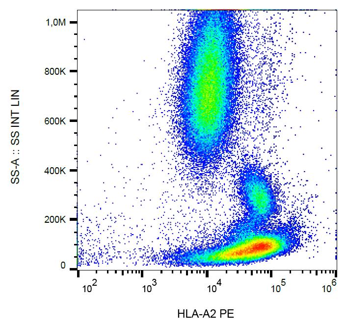 Anti-HLA-A2 Monoclonal Antibody (Clone:BB7.2)-PE Conjugated