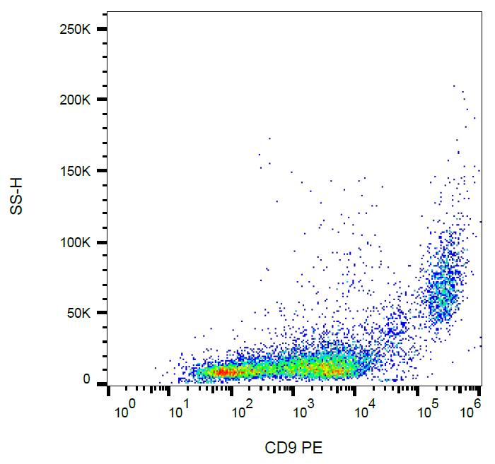 Anti-CD9 Monoclonal Antibody (Clone:EM-04)-PE Conjugated