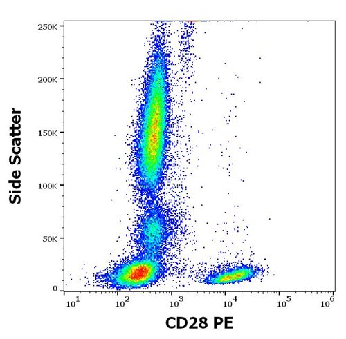 PE Conjugated, Anti-CD28 Monoclonal Antibody (Clone:CD28.2)