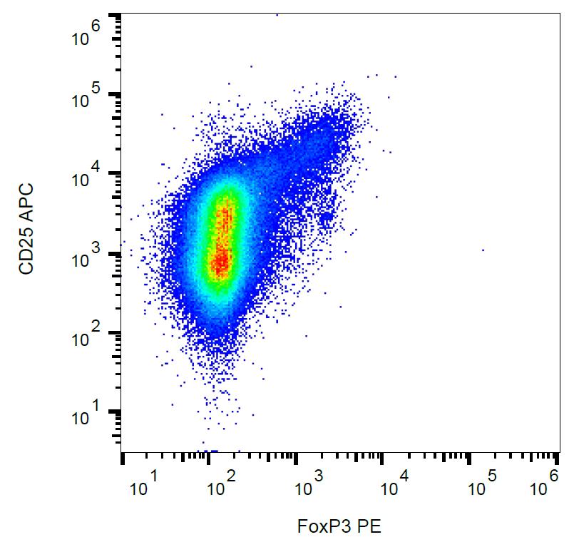 Anti-FoxP3 Monoclonal Antibody (Clone:3G3)-PE Conjugated