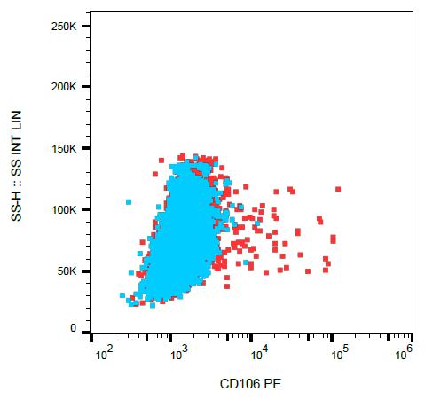 PE Conjugated, Anti-CD106 / VCAM-1 Monoclonal Antibody (Clone:STA)