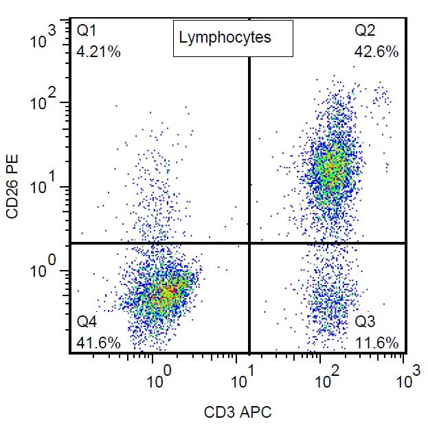 Anti-CD26 Monoclonal Antibody (Clone:BA5b)-PE Conjugated