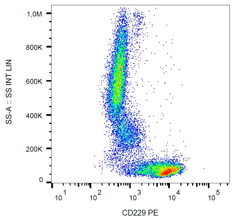 Anti-CD229 / Ly9 Monoclonal Antibody (Clone:HLy9.25)-PE Conjugated