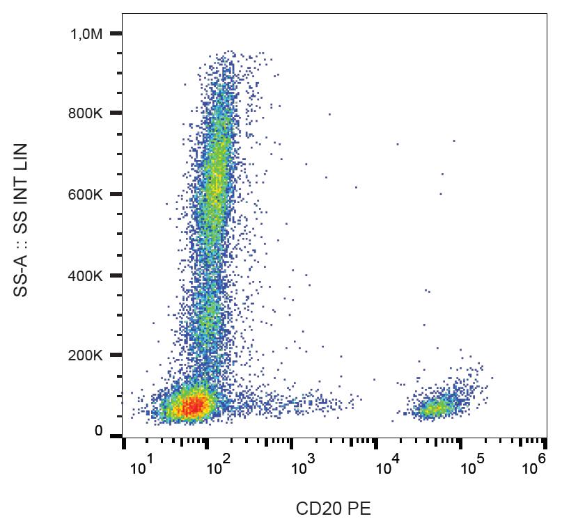 Anti-CD20 Monoclonal Antibody (Clone:2H7)-PE Conjugated