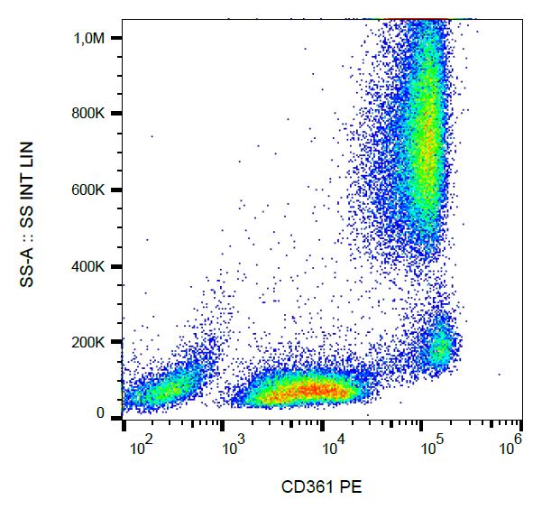 Anti-CD361 Monoclonal Antibody (Clone:MEM-216)-PE Conjugated