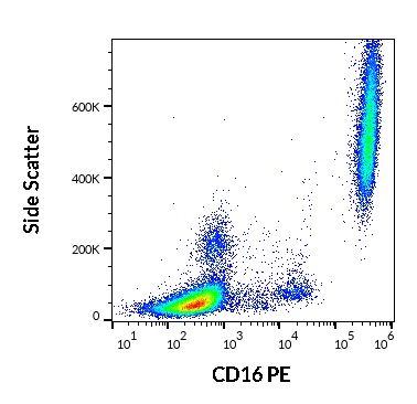 Anti-CD16 / FcgammaRIII Monoclonal Antibody (Clone:3G8)-PE Conjugated