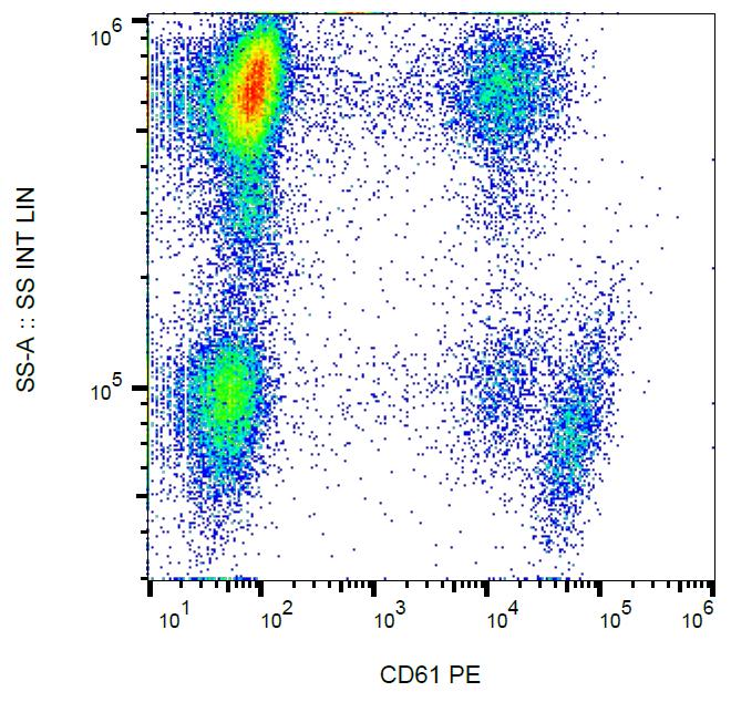 Anti-CD61 Monoclonal Antibody (Clone:VIPL2)-PE Conjugated