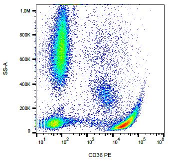 Anti-CD36 Monoclonal Antibody (Clone:CB38 (NL07))-PE Conjugated