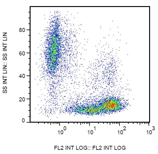 Anti-CD99 Monoclonal Antibody (Clone:3B2/TA8)-PE Conjugated