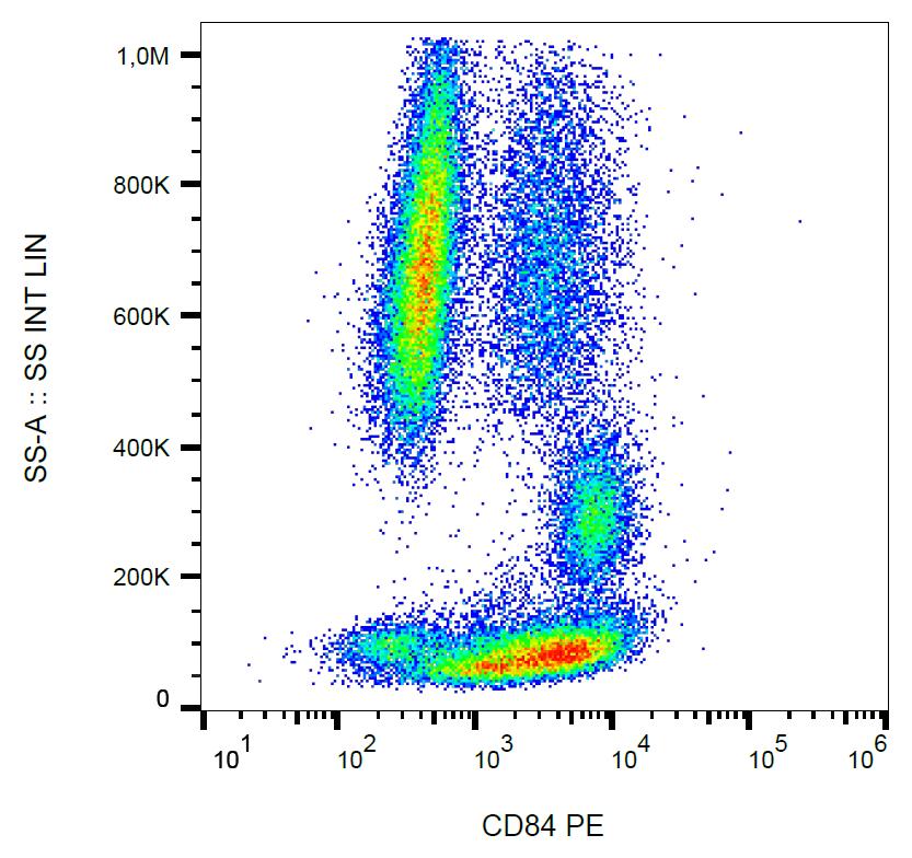 Anti-CD84 Monoclonal Antibody (Clone:CD84.1.21)-PE Conjugated