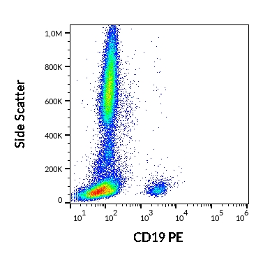 Anti-CD19 Monoclonal Antibody (Clone:4G7 )-PE Conjugated