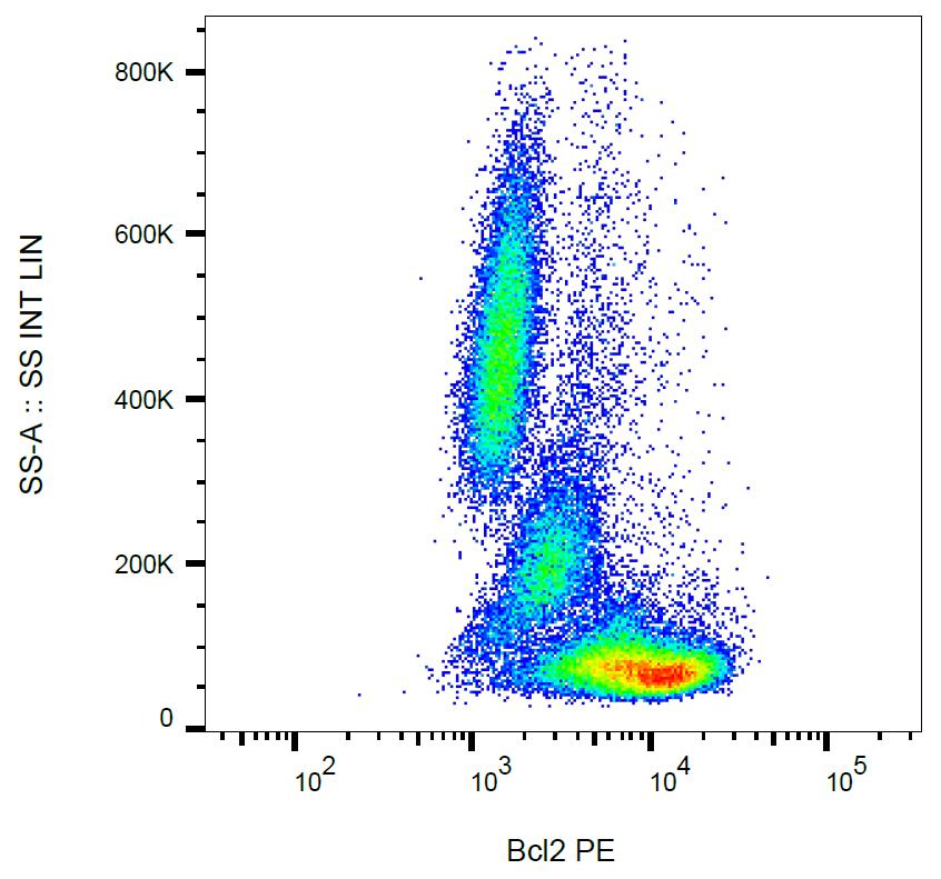 Anti-Bcl2 Monoclonal Antibody (Clone:Bcl-2/100)-PE Conjugated