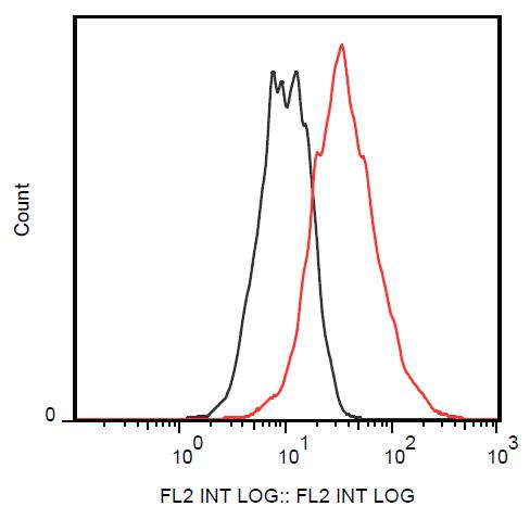 Anti-CD83 Monoclonal Antibody (Clone:HB15e)-PE Conjugated