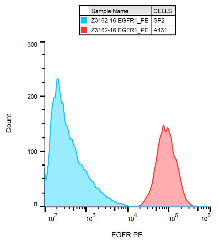 PE Conjugated Anti-EGFR Monoclonal Antibody (Clone:EGFR1)