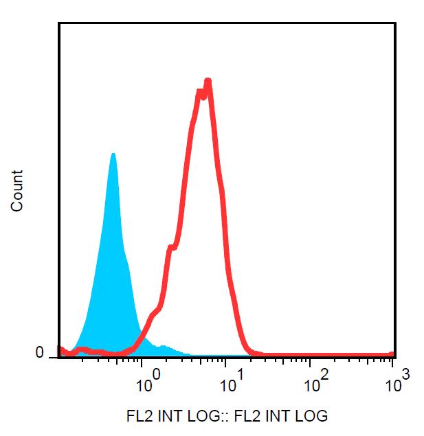 PE Conjugated, Anti-Drebrin Monoclonal Antibody (Clone:DBN-N-03)