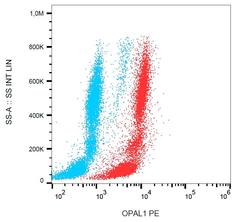 PE Conjugated Anti-OPAL1 Monoclonal Antibody (Clone:OPAL1-01)