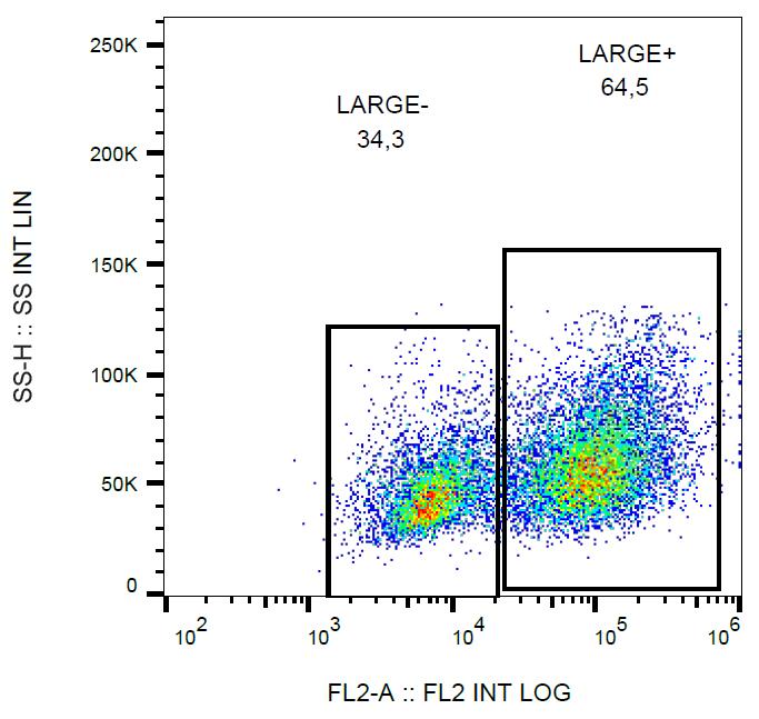 PE Conjugated Anti-LARGE1 Monoclonal Antibody (Clone:LARGE-02)