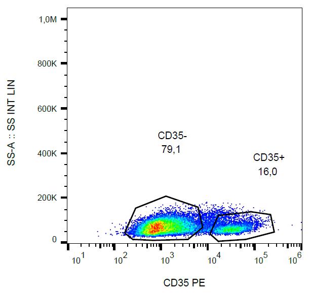 Anti-CD35 / CR1 Monoclonal Antibody (Clone:E11)-PE Conjugated