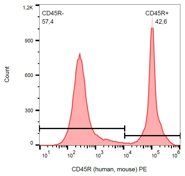 Anti-CD45R Monoclonal Antibody (Clone:RA3-6B2)-PE Conjugated