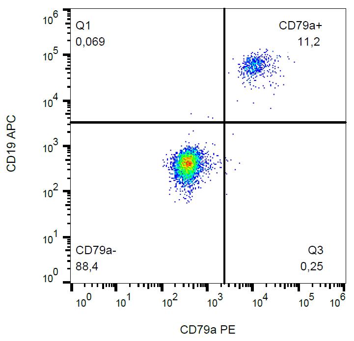 PE Conjugated Anti-CD79a Monoclonal Antibody (Clone:HM47)