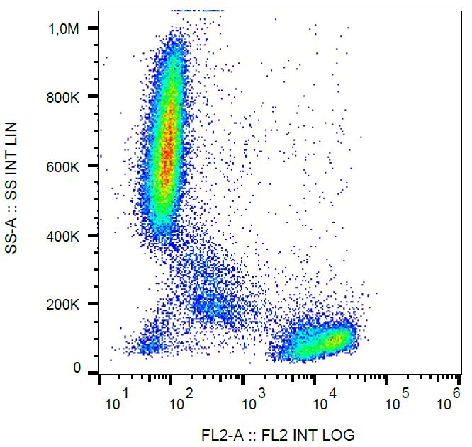 Anti-CD2 Monoclonal Antibody (Clone:TS1/8)-PE Conjugated