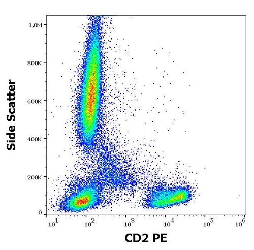 Anti-CD2 Monoclonal Antibody (Clone:TS1/8)-PE Conjugated