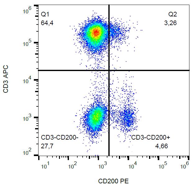 Anti-CD200 Monoclonal Antibody (Clone:OX-104)-PE Conjugated