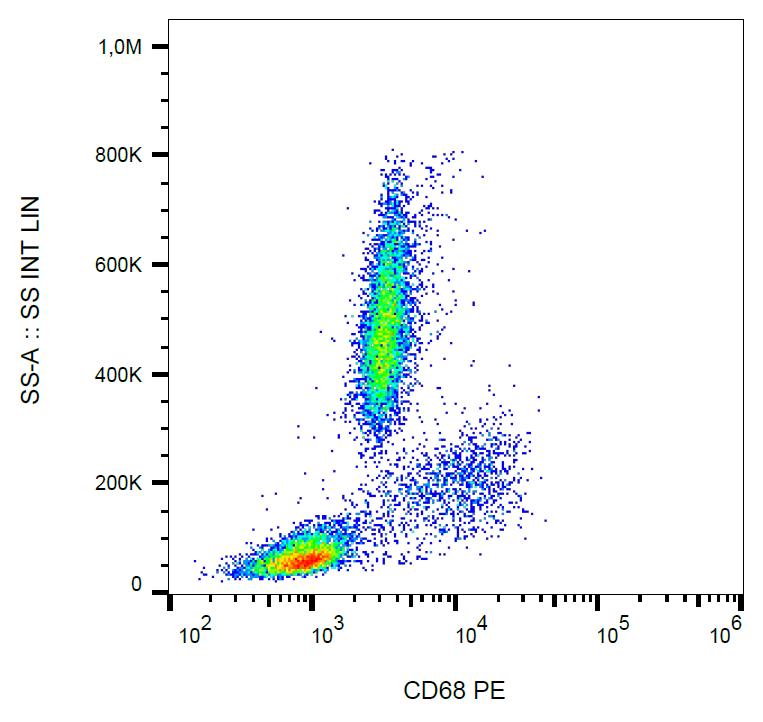 Anti-CD68 Monoclonal Antibody (Clone:Y1/82A)-PE Conjugated