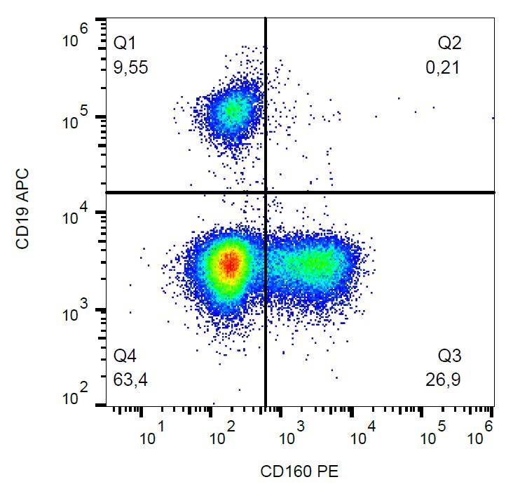 Anti-CD160 Monoclonal Antibody (Clone:BY55)-PE Conjugated