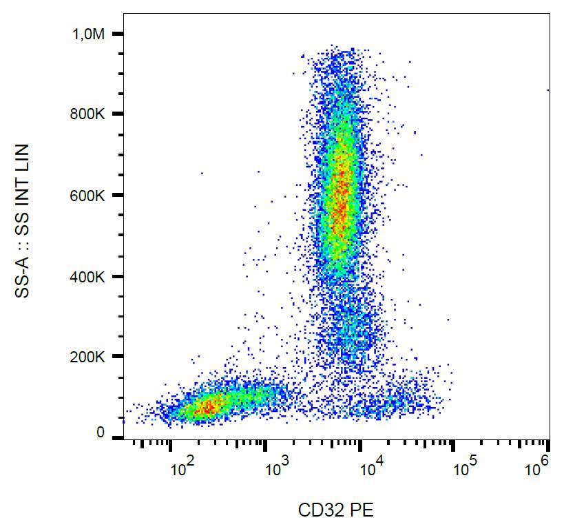 Anti-CD32 / FcgammaRII Monoclonal Antibody (Clone:3D3)-PE Conjugated