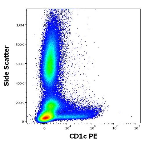 Anti-CD1c Monoclonal Antibody (Clone:L161)-PE Conjugated