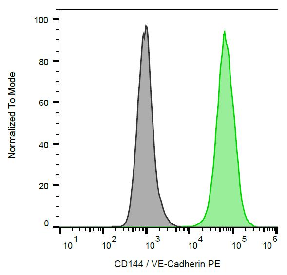 Anti-CD144 / VE-cadherin Monoclonal Antibody (Clone:55-7H1)-PE Conjugated