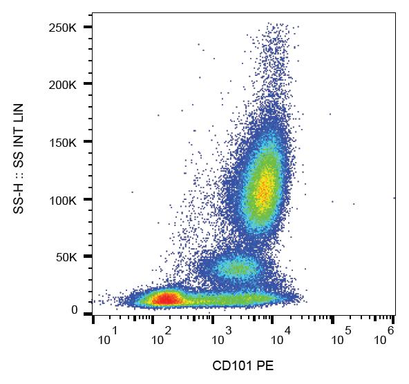 PE Conjugated, Anti-CD101 Monoclonal Antibody (Clone:BB27)