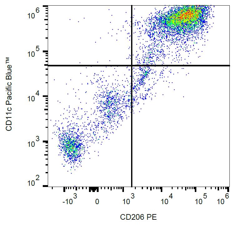 Anti-CD206 / MMR Monoclonal Antibody (Clone:15-2)-PE Conjugated