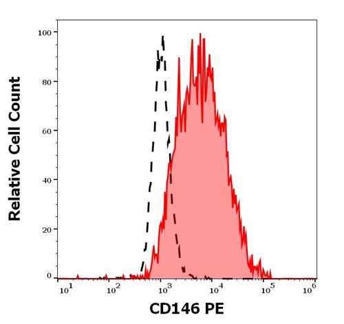 Anti-CD146 Monoclonal Antibody (Clone:P1H12)-PE Conjugated