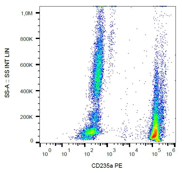 Anti-CD235a / Glycophorin A Monoclonal Antibody (Clone:JC159)-PE Conjugated