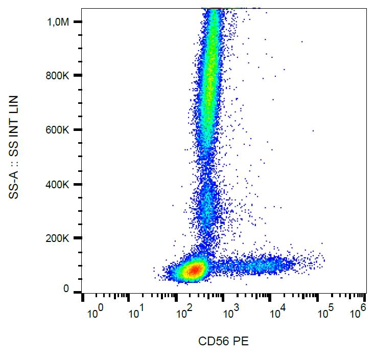 Anti-CD56 / NCAM Monoclonal Antibody (Clone:LT56)-PE Conjugated