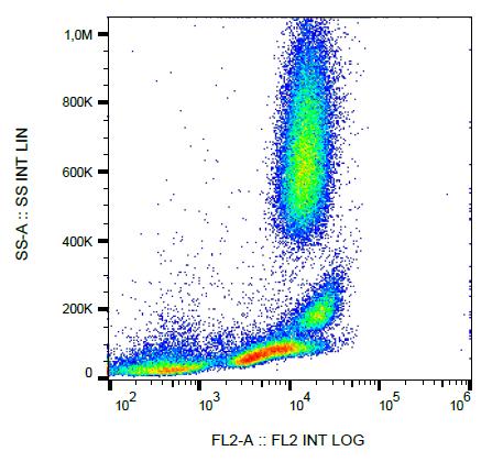 Anti-CD222 / IGF2 receptor / CIMPR Monoclonal Antibody (Clone:MEM-240)-PE Conjugated