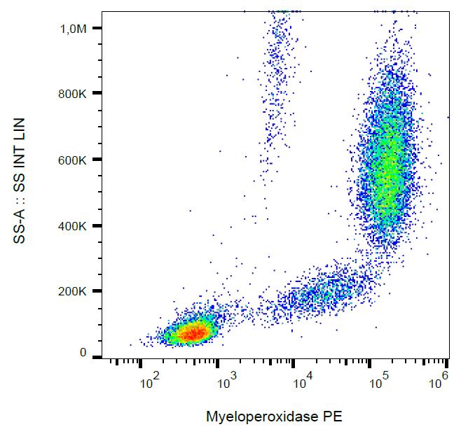 PE Conjugated Anti-Myeloperoxidase (MPO) Monoclonal Antibody (Clone:MPO421-8B2)