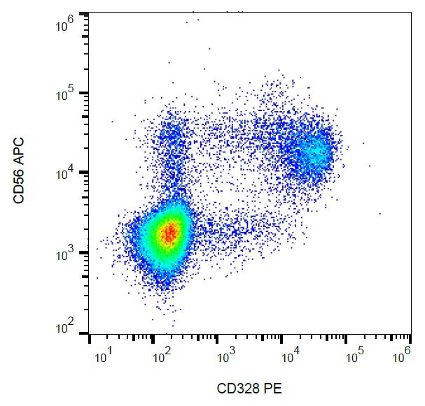 Anti-CD328 / Siglec-7 Monoclonal Antibody (Clone:6-434)-PE Conjugated