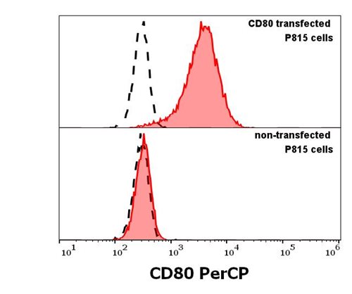 Anti-CD80 / B7-1 Monoclonal Antibody (Clone:MEM-233)-PerCP Conjugated